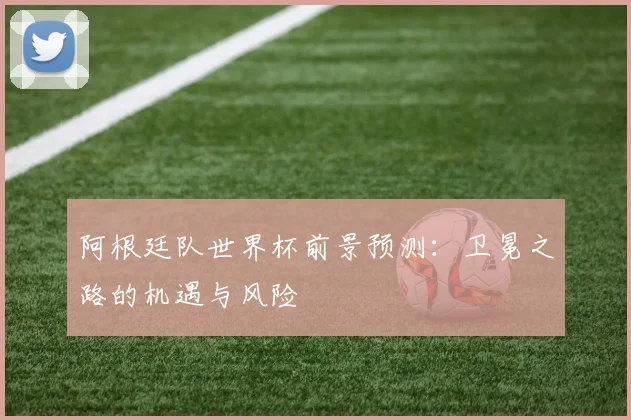 阿根廷队世界杯前景预测：卫冕之路的机遇与风险