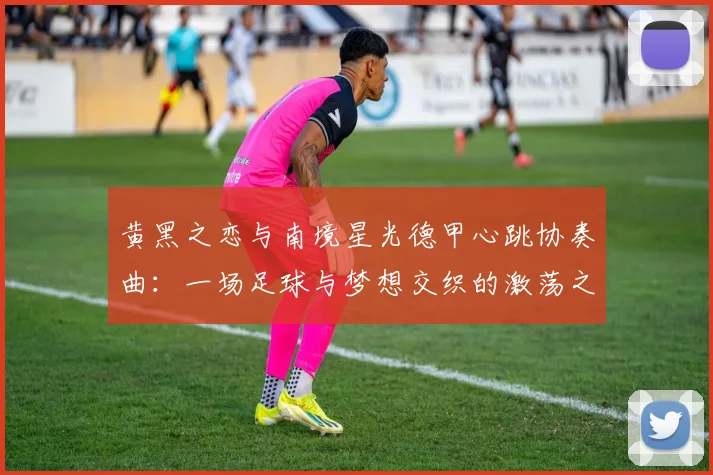 黄黑之恋与南境星光德甲心跳协奏曲：一场足球与梦想交织的激荡之旅
