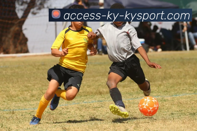 开云APP 体育赛事宣传图